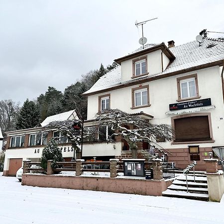 ObersteinbachAu Wachtfels住宿加早餐旅馆 外观 照片